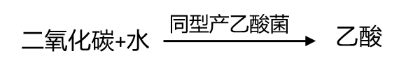 c84e82c91de82b59204783975789ac1c.png